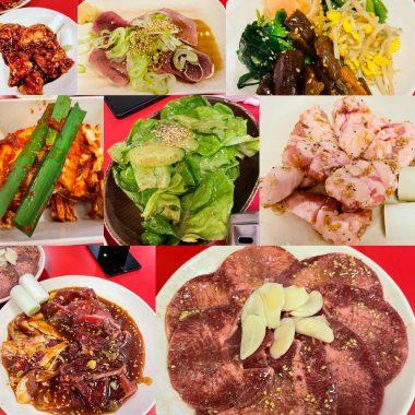 ビションフリーゼ　おもち  おもちふくおじさんぽ彡 3B2F18A4-1AF7-44D9-B8E5-BCF61341FE29-380x380