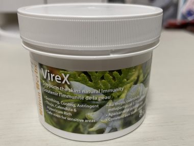 ビションフリーゼ おもち おもちふくトリミング&おものイボクリーム IMG_2234-380x285 ビションフリーゼ おもち おもちふくトリミング&おものイボクリーム IMG_2234-380x285