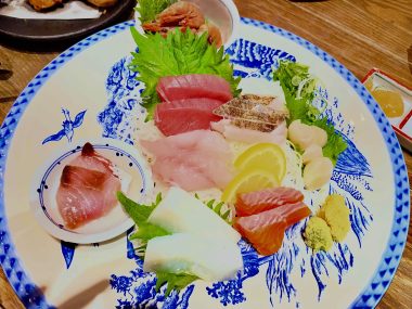 ビションフリーゼ　おもち  バイト飲みお魚屋さん IMG_2452-380x285