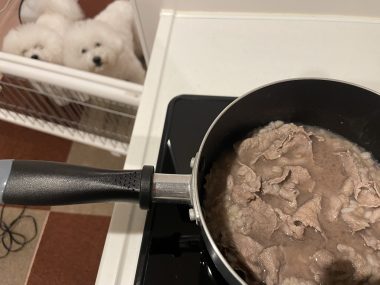 ビションフリーゼ　おもち  さつまいもと牛肉のなにか IMG_2603-380x285