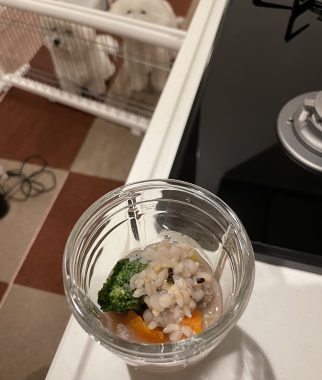 ビションフリーゼ　おもち  さつまいもと牛肉のなにか IMG_2607-322x380
