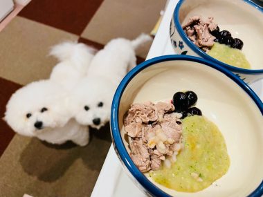 ビションフリーゼ　おもち  さつまいもと牛肉のなにか IMG_2616-380x285