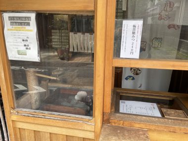 ビションフリーゼ　おもち  おもちふくおじさんぽ彡 IMG_2619-380x285