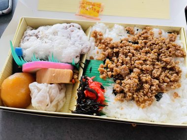 ビションフリーゼ　おもち  おもちふくおじさんぽ彡 IMG_2627-380x285