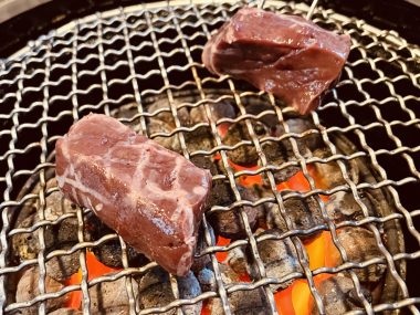 ビションフリーゼ おもち さくらさんぽ彡やきにく海山\(^o^)/ IMG_2733-380x285 ビションフリーゼ おもち さくらさんぽ彡やきにく海山\(^o^)/ IMG_2733-380x285