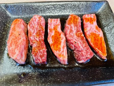 ビションフリーゼ おもち さくらさんぽ彡やきにく海山\(^o^)/ IMG_2736-380x285 ビションフリーゼ おもち さくらさんぽ彡やきにく海山\(^o^)/ IMG_2736-380x285