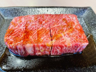 ビションフリーゼ おもち さくらさんぽ彡やきにく海山\(^o^)/ IMG_2737-380x285 ビションフリーゼ おもち さくらさんぽ彡やきにく海山\(^o^)/ IMG_2737-380x285