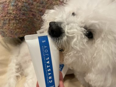 ビションフリーゼ　おもち  狂犬病のワクチンと虫の薬と歯磨きモニター IMG_2777-380x285