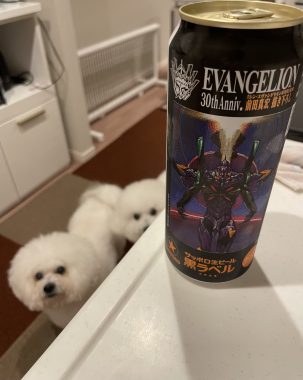 ビションフリーゼ　おもち  海の公園とか IMG_2866-303x380