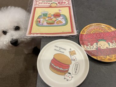 ビションフリーゼ おもち おもふくおじ彡海の公園 IMG_2913-380x285 ビションフリーゼ おもち おもふくおじ彡海の公園 IMG_2913-380x285