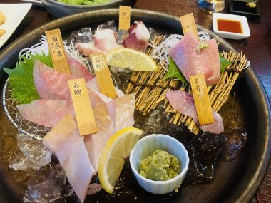 ビションフリーゼ　おもち  おもふくさんぽ彡 IMG_2982-380x285