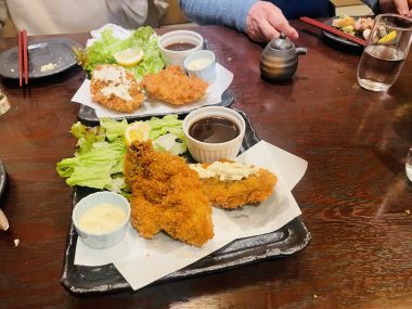 ビションフリーゼ　おもち  おもふくさんぽ彡 IMG_2985-380x285