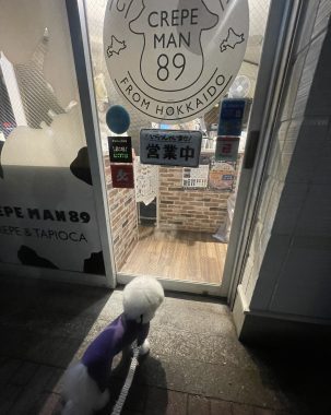 ビションフリーゼ　おもち  夜のおやつ IMG_3011-303x380