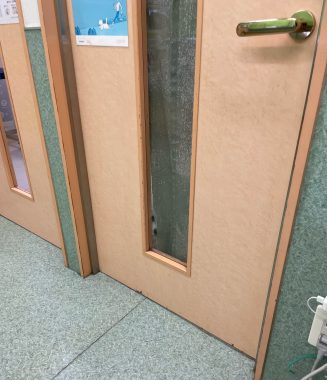 ビションフリーゼ　おもち  おもマッサージの日 IMG_3035-327x380