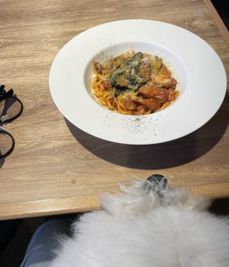 ビションフリーゼ　おもち  おもマッサージの日 IMG_3040-326x380