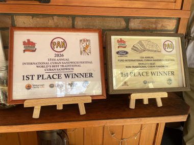 ビションフリーゼ　おもち  おもちふくおじさんぽ彡とかとか IMG_3090-380x285