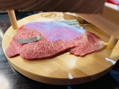 ビションフリーゼ　おもち  おもちふくおじさんぽ彡とかとか IMG_3095-380x285