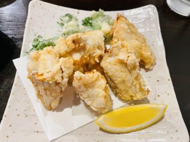 ビションフリーゼ　おもち 自分の事ですが  バイト飲みお刺身＼(^o^)／ IMG_3127-380x285