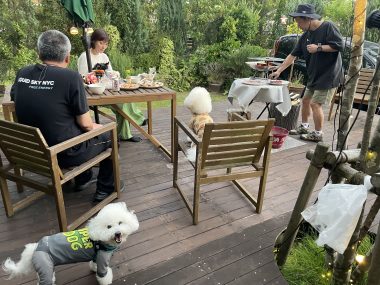 ビションフリーゼ　おもち  ソラムギおもふくBBQ大会 IMG_3176-380x285