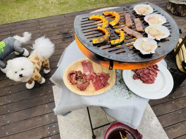 ビションフリーゼ　おもち  ソラムギおもふくBBQ大会 IMG_3180-380x285