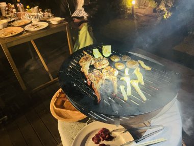 ビションフリーゼ　おもち  ソラムギおもふくBBQ大会 IMG_3181-380x285