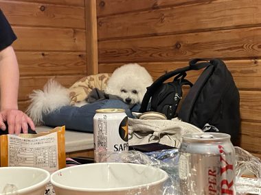 ビションフリーゼ　おもち  ソラムギおもふくBBQ大会 IMG_3193-380x285