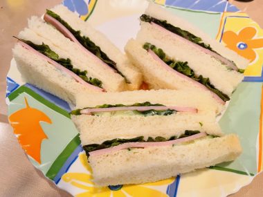 ビションフリーゼ おもち 自分の事ですが 梅屋敷の喫茶店とおすし IMG_3428-380x285 ビションフリーゼ おもち 自分の事ですが 梅屋敷の喫茶店とおすし IMG_3428-380x285