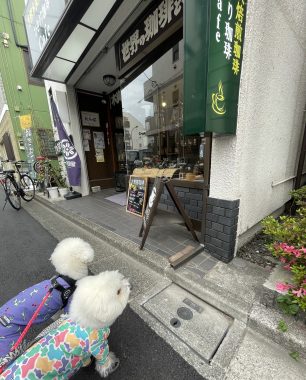 ビションフリーゼ おもち 自分の事ですが 久しぶりの丸の内! IMG_3522-306x380 ビションフリーゼ おもち 自分の事ですが 久しぶりの丸の内! IMG_3522-306x380