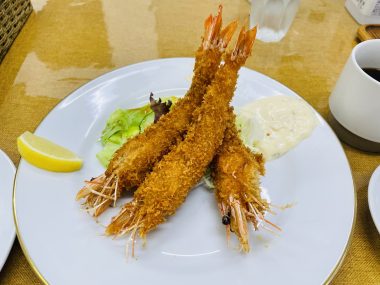 ビションフリーゼ　おもち  天使のエビフライ！ IMG_3680-380x285