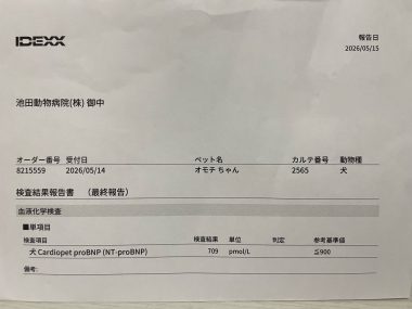 ビションフリーゼ　おもち  おもちふくの採血結果表 IMG_3792-380x285