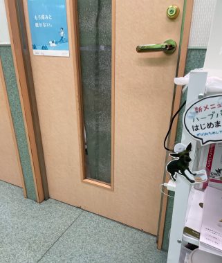 ビションフリーゼ　おもち  おもマッサージで久しぶりのさんぽコース IMG_3804-321x380