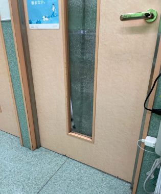 ビションフリーゼ　おもち  おもマッサージで久しぶりのさんぽコース IMG_3805-315x380