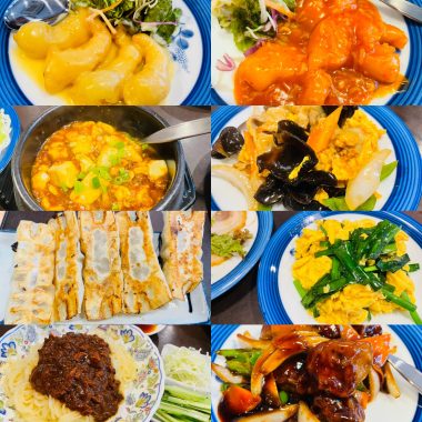 ビションフリーゼ　おもち  中華ざんまいお友だち(*^◯^*) 5E78639C-8EA5-48D3-AF08-0E1C09925005-380x380