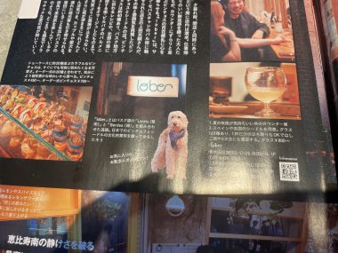 自分の事ですが ネイルサロンのスゴロクちゃん IMG_4029-380x285 自分の事ですが ネイルサロンのスゴロクちゃん IMG_4029-380x285