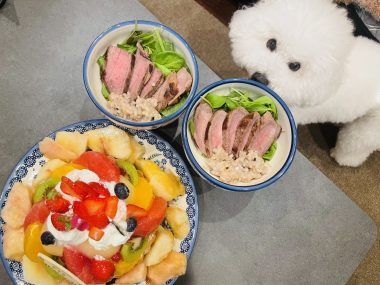 お誕生日 ビションフリーゼ おもち 8月4日!おもち13歳のお誕生日おめでとう\(^o^)/ IMG_4092-380x285 お誕生日 ビションフリーゼ おもち 8月4日!おもち13歳のお誕生日おめでとう\(^o^)/ IMG_4092-380x285