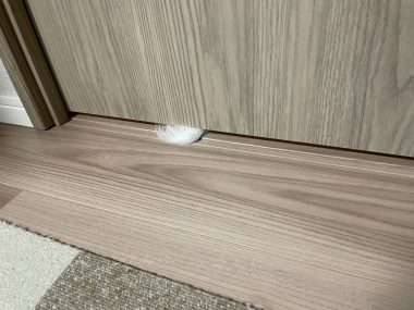 ビションフリーゼ おもち おもちふくらむさんぽとか彡 IMG_4247-380x285 ビションフリーゼ おもち おもちふくらむさんぽとか彡 IMG_4247-380x285