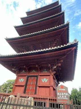 ビションフリーゼ おもち おもちふくさんぽとか彡 IMG_4669-285x380 ビションフリーゼ おもち おもちふくさんぽとか彡 IMG_4669-285x380