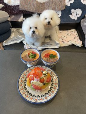 ビションフリーゼ おもち 10月6日おもち記念日\(^o^)/ IMG_4674-285x380 ビションフリーゼ おもち 10月6日おもち記念日\(^o^)/ IMG_4674-285x380