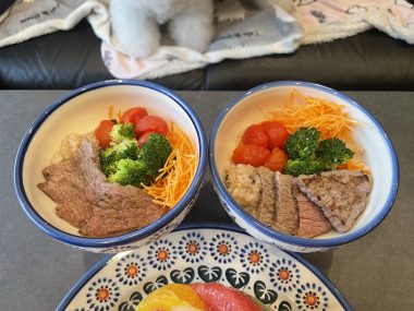 ビションフリーゼ おもち 10月6日おもち記念日\(^o^)/ IMG_4678-380x285 ビションフリーゼ おもち 10月6日おもち記念日\(^o^)/ IMG_4678-380x285