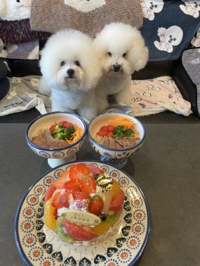ビションフリーゼ おもち 10月6日おもち記念日\(^o^)/ IMG_4683-285x380 ビションフリーゼ おもち 10月6日おもち記念日\(^o^)/ IMG_4683-285x380