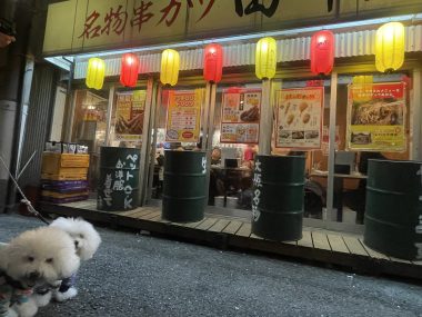 ビションフリーゼ　おもち  串カツ田中＼(^o^)／ IMG_4730-380x285