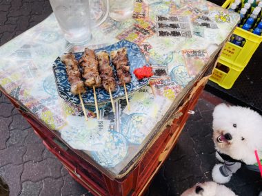ビションフリーゼ おもち 美味しいさんぽ彡 IMG_4768-380x285 ビションフリーゼ おもち 美味しいさんぽ彡 IMG_4768-380x285