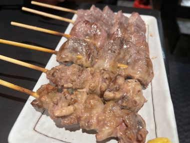 ビションフリーゼ　おもち  おもちふくおじさんぽ彡 IMG_4862-380x285