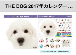 ビションフリーゼ　おもち  2017年 THE DOGカレンダー☆ 
