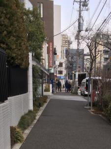 ビションフリーゼ　おもち  目黒不動尊らへんまで 