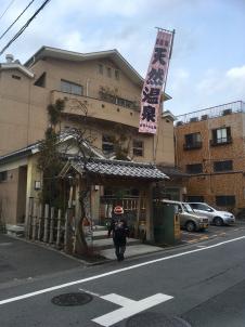 ビションフリーゼ　おもち  目黒不動尊らへんまで 